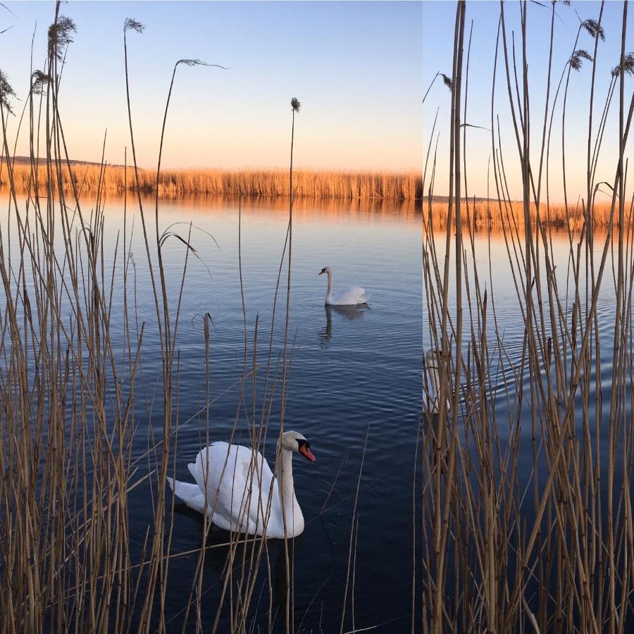Siedlisko Nad Rozlewiskiem Svinoústí Exteriér fotografie